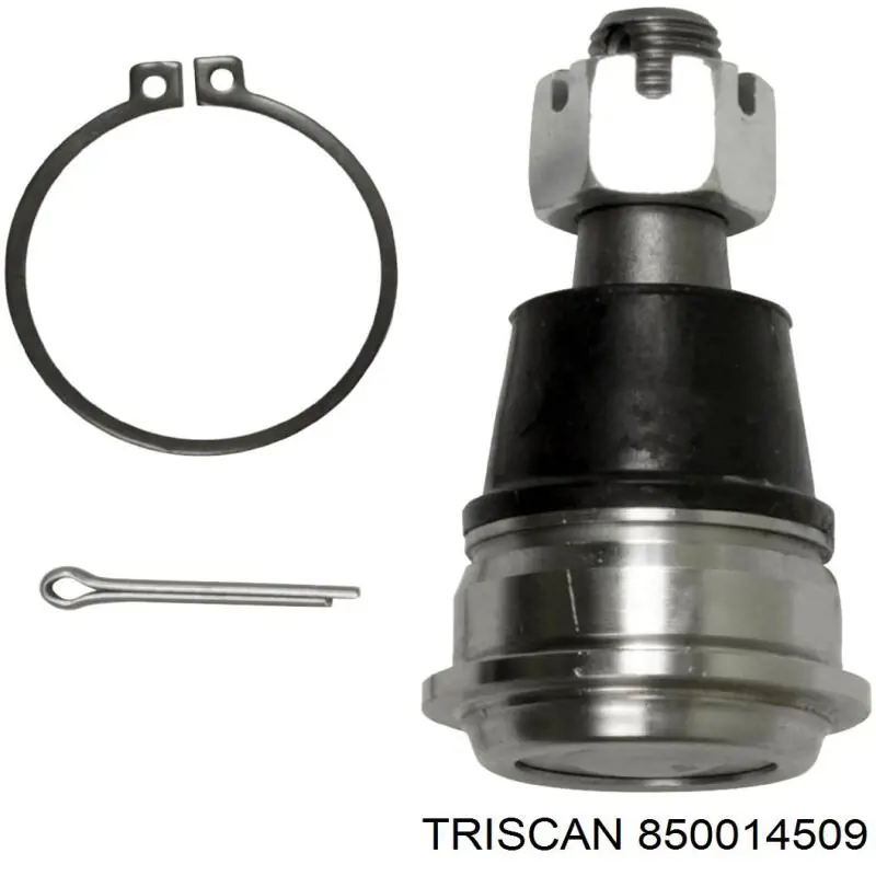 40160F4200 Nissan/Infiniti Rótula inferior de suspensión