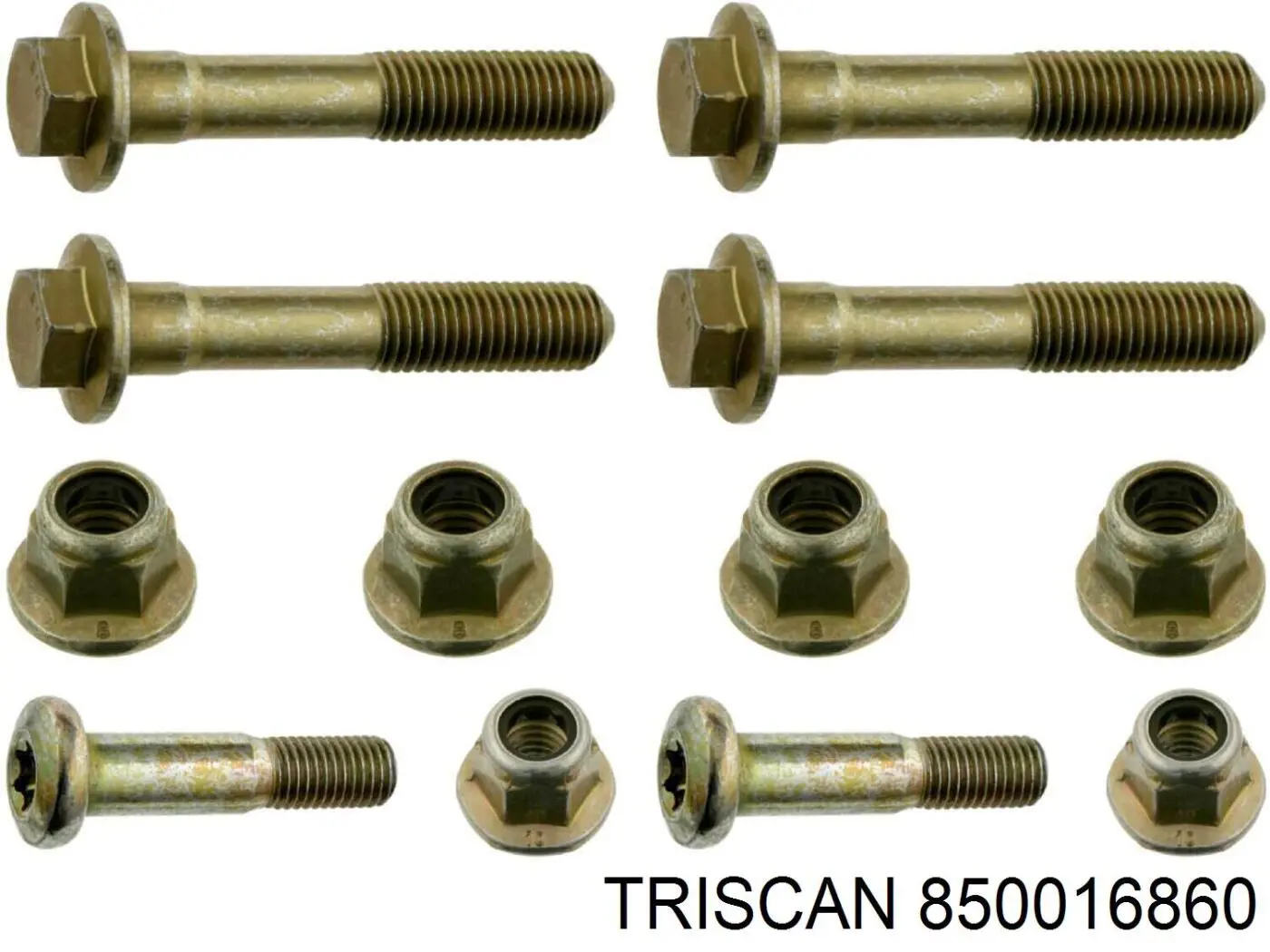 Tornillo de fijación de la rótula de suspensión delantera al muñón Ford W704034S442 precio, desde 6,30 EUR