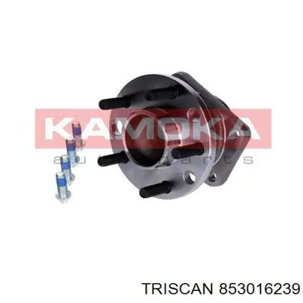 Cubo de rueda trasero Jaguar X-type CF1