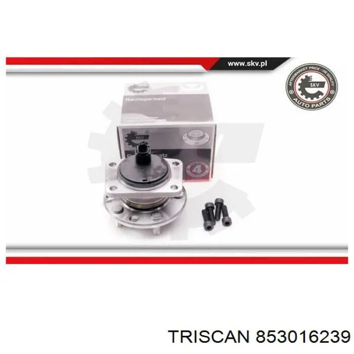 Cubo de rueda trasero Jaguar X-type CF1