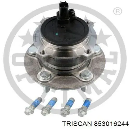 853016244 Triscan cubo de rueda trasero