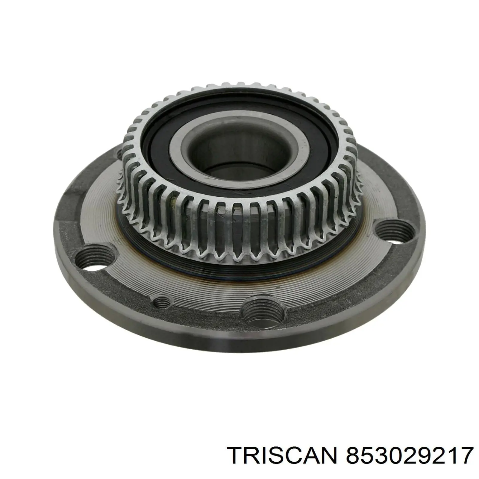 853029217 Triscan cubo de rueda trasero