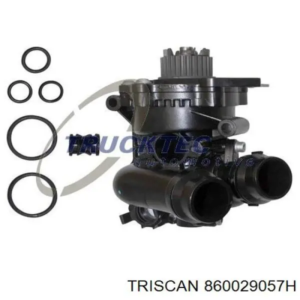 Motor de agua, completo con caja Dayco DP1982