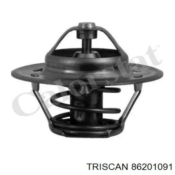 Termostato General Motors 98089988 precio, desde 9,04 EUR
