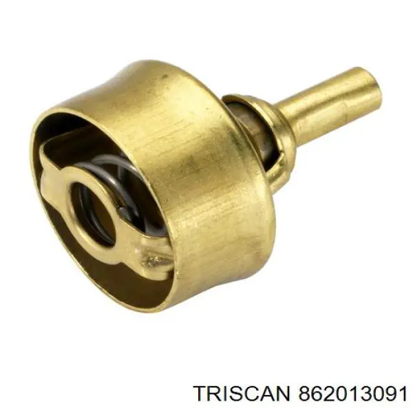 Termostato 7701348068 Renault (RVI)