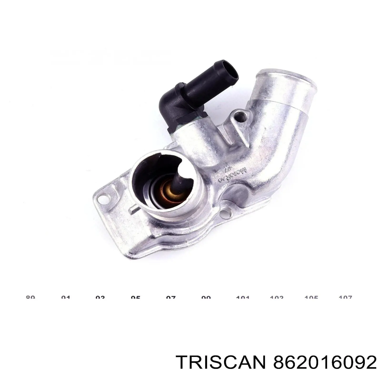 Carcasa del termostato STC T403039 precio, desde 31,28 EUR