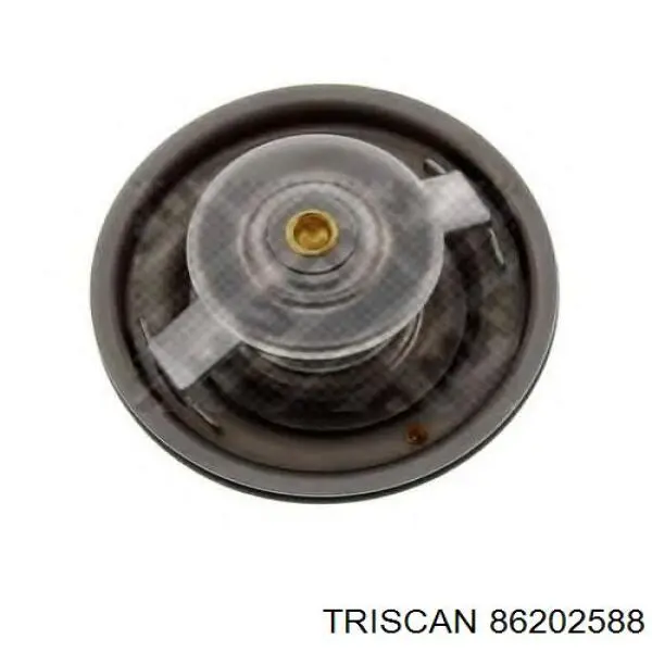 Termostato refrigerante VAG 69121113
