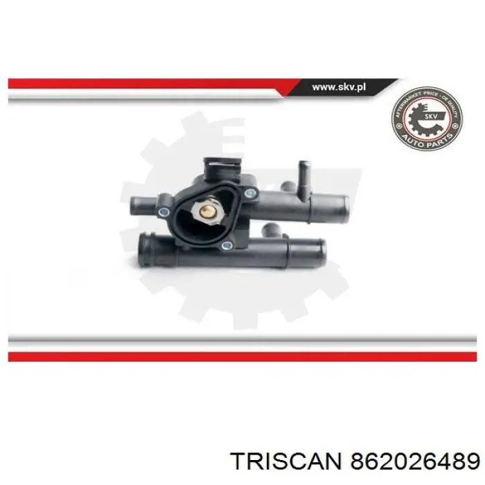 862026489 Triscan caja del termostato