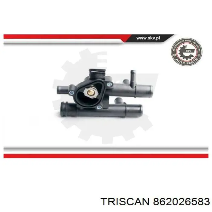 Caja de termostato 8200147444 Renault (RVI)