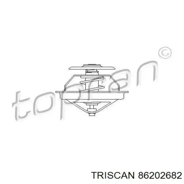 5300283 FAE Termostato de agua