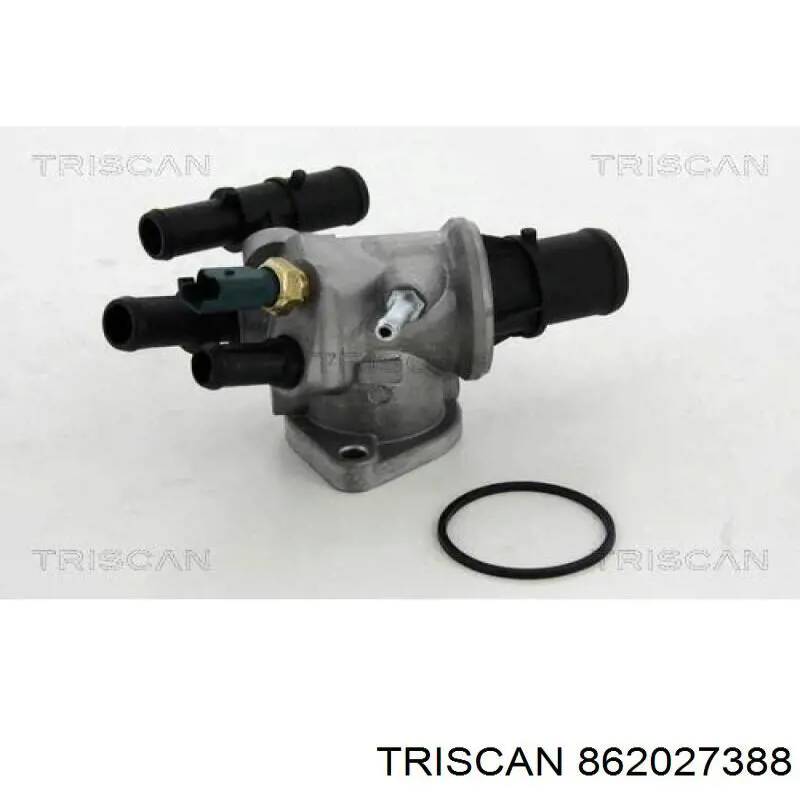 Termostato 862027388 Triscan