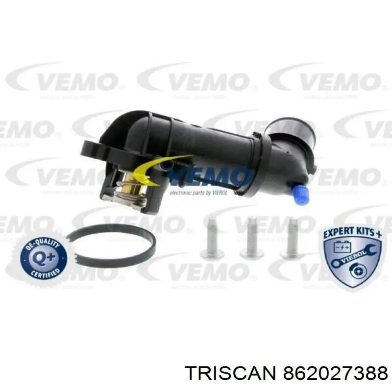 862027388 Triscan Termostato de agua