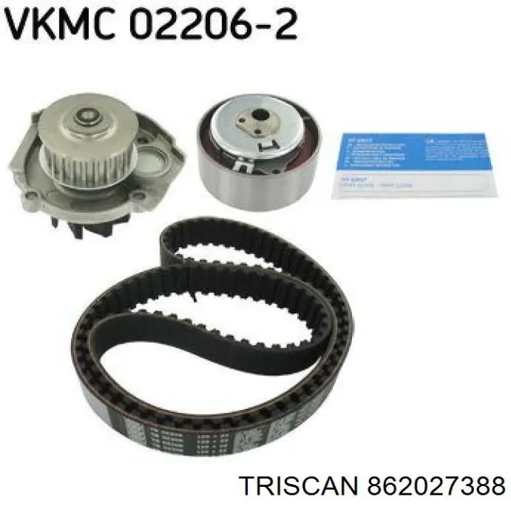 Termostato refrigerante Triscan 862027388