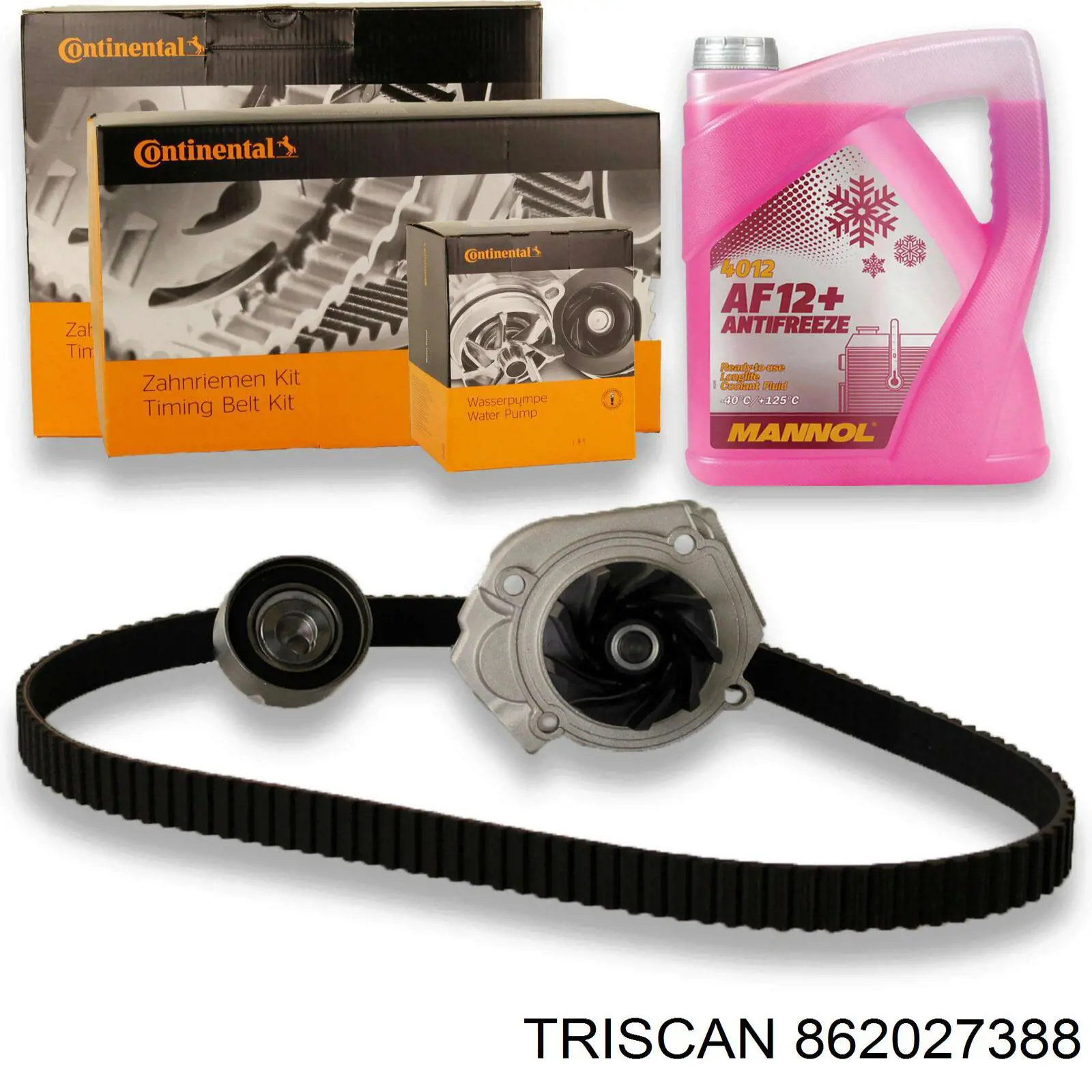 Termostato 862027388 Triscan