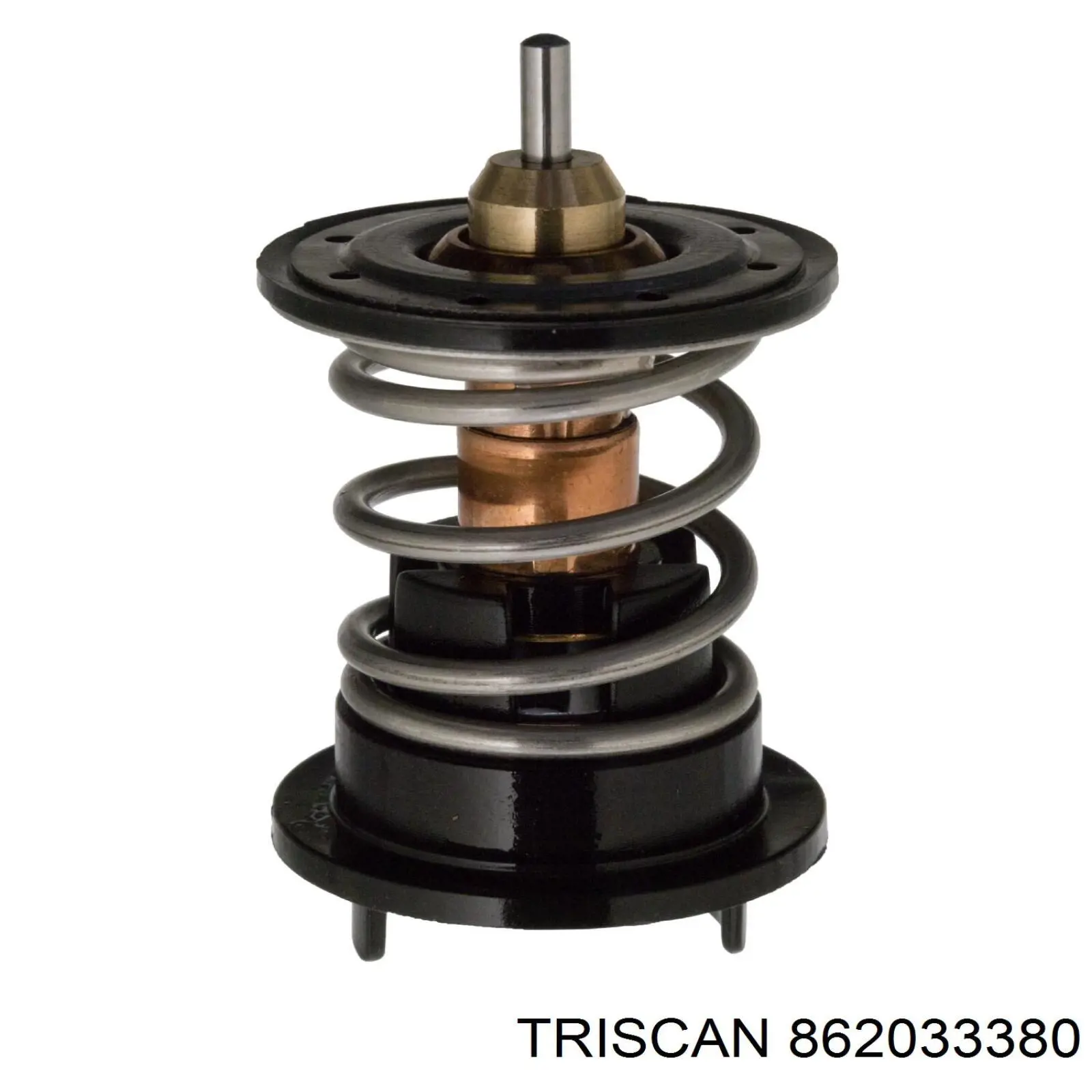 Termostato Febi 106284 precio, desde 15,20 EUR