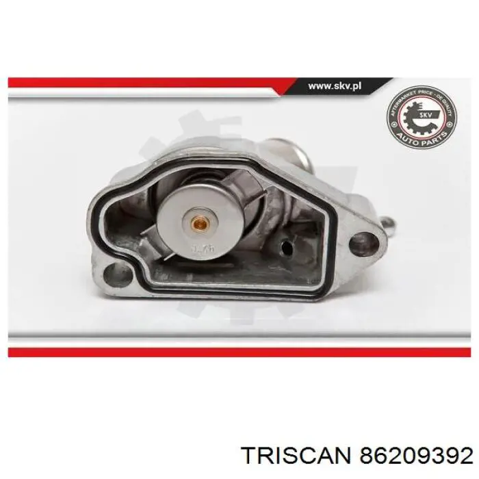 670028 Maxgear Termostato de agua