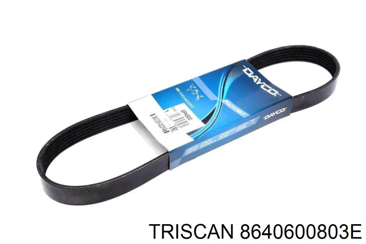 Correa de transmisión trapezoidal Mazda 3  desde 11,65 €
