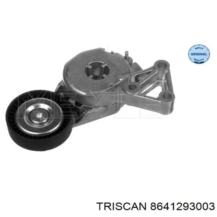 8641293003 Triscan tensor de correa, correa poli v