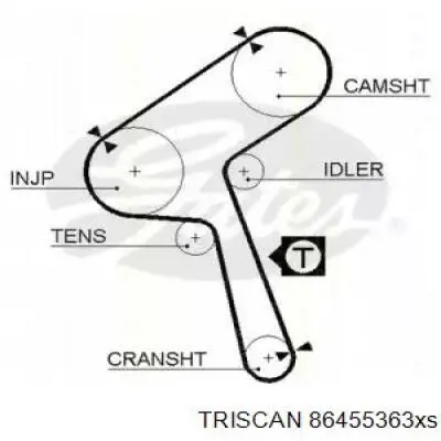 A680613C25 Nissan correa distribucion