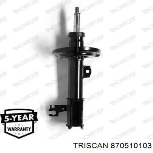 Amortiguador delantero izquierdo Raiso RS312601 precio, desde 59,77 EUR