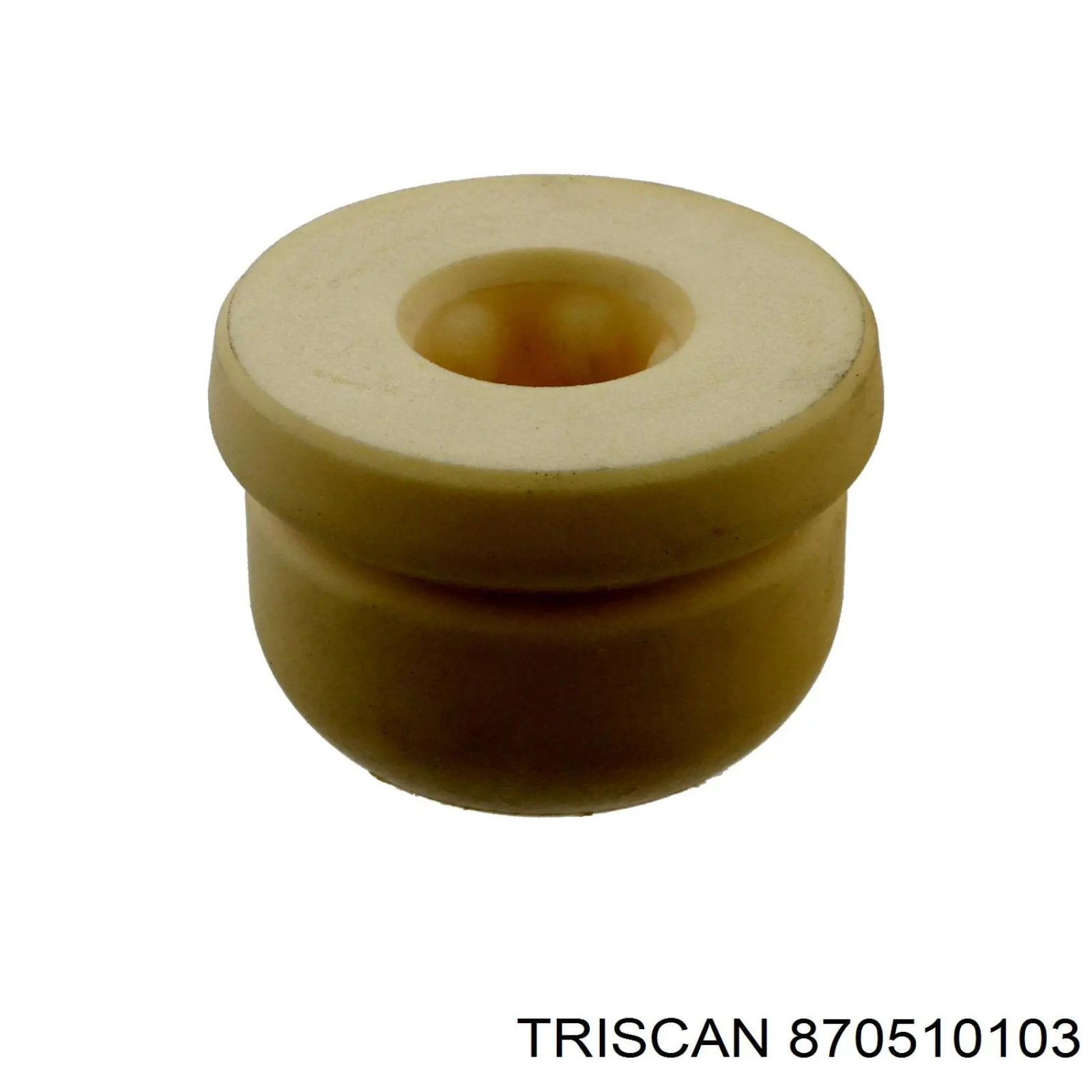 RS312601 Raiso Amortiguador frontal izquierdo