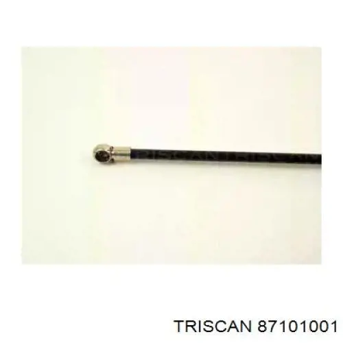 Muelle neumatico maletero Audi 100 C3