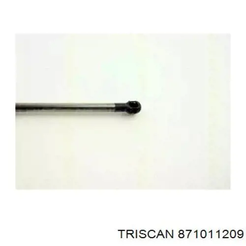 Comprar GSR619000 Open Parts Amortiguador de puerta trasera