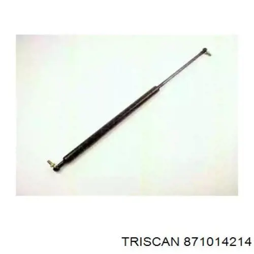 Comprar Amortiguador maletero Nissan Sunny III Y10