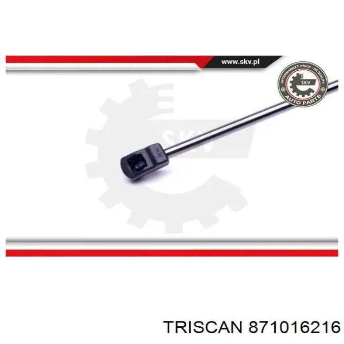 Muelle neumatico maletero Triscan 871016216