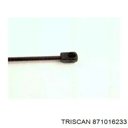 Amortiguador maletero GSR638900 Open Parts