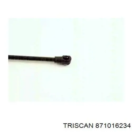 Muelle neumatico maletero Ford 1124003