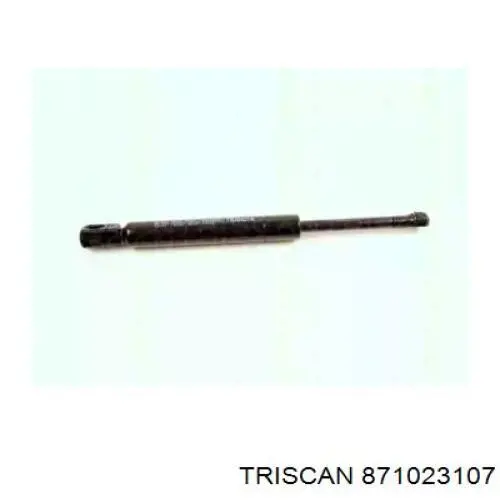 871023107 Triscan muelle neumático, capó de motor