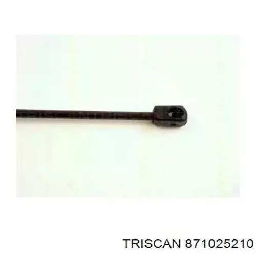 871025210 Triscan amortiguador maletero