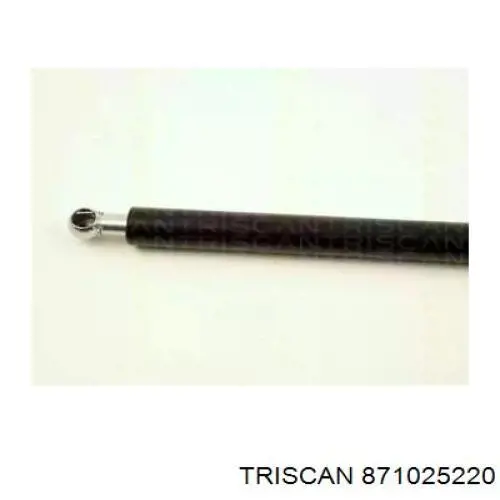Amortiguador maletero 871025220 Triscan