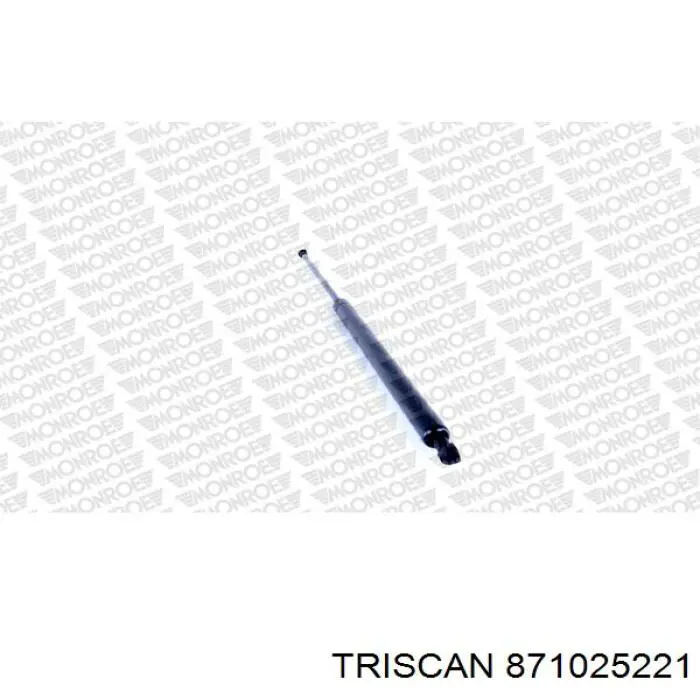 871025221 Triscan amortiguador maletero