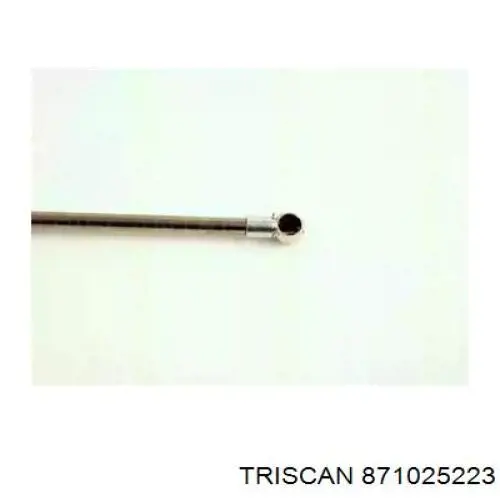 Muelle neumatico maletero Renault (RVI) 8200003020