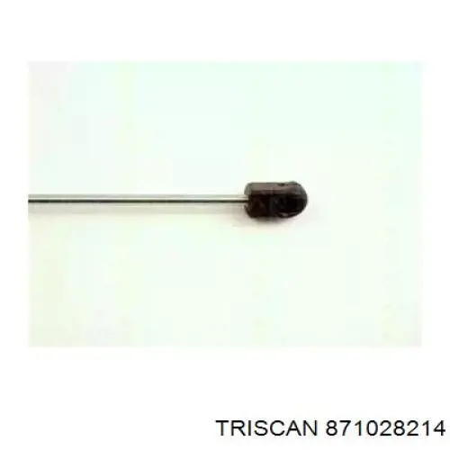 Amortiguador de maletero Peugeot 206 2A/C