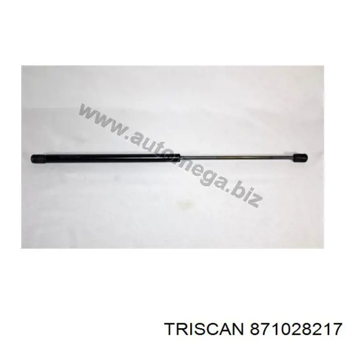 Amortiguador de maletero Peugeot 206 2A/C