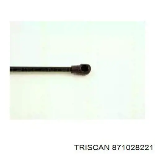 871028221 Triscan amortiguador maletero
