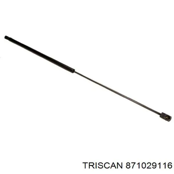 871029116 Triscan muelle neumático, capó de motor