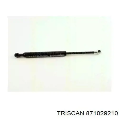 871029210 Triscan amortiguador maletero