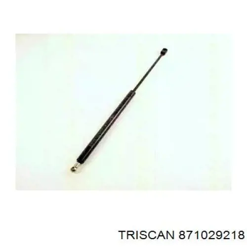 871029218 Triscan amortiguador maletero