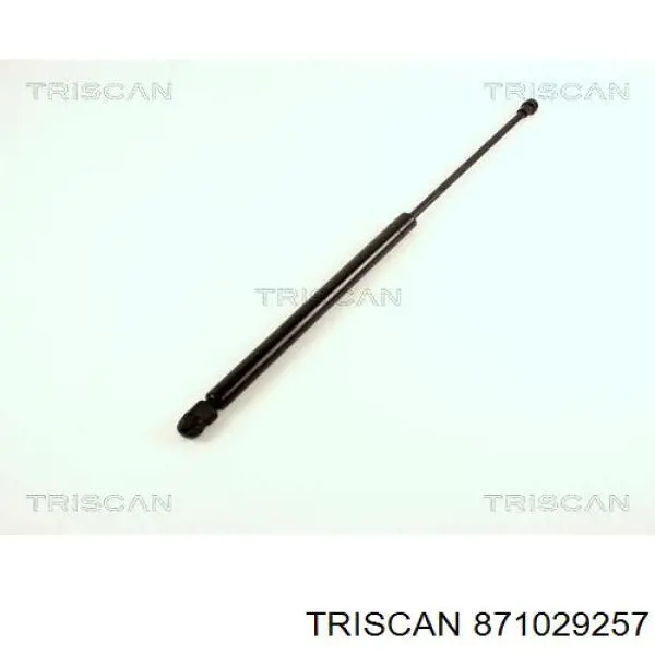 Comprar GSR600300 Open Parts Amortiguador de puerta trasera