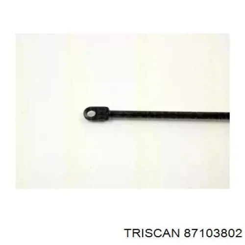 Amortiguador de maletero Montcada 08450300 precio, desde 15,75 EUR