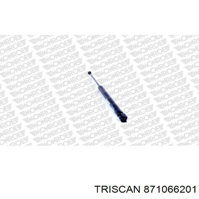 Amortiguador de maletero Seat Leon 2 1P1