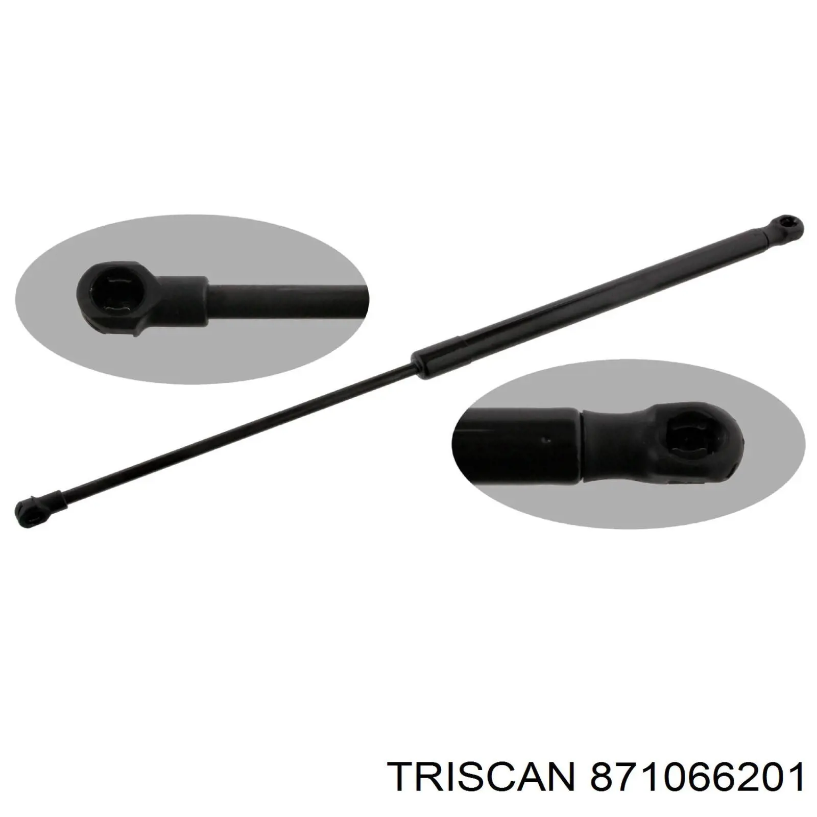 Amortiguador de maletero Seat Leon 2 1P1