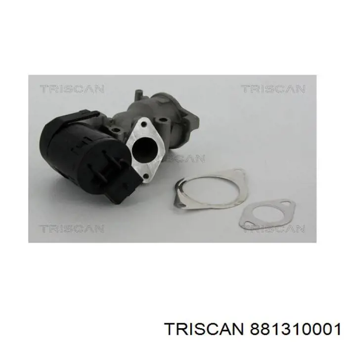 Comprar 1807605 Ford Válvula EGR
