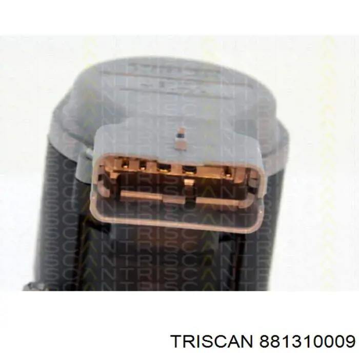 881310009 Triscan válvula, agr