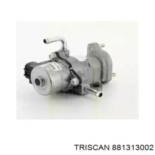 T493116 STC Válvula EGR
