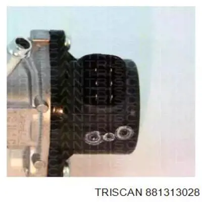 881313028 Triscan válvula, agr